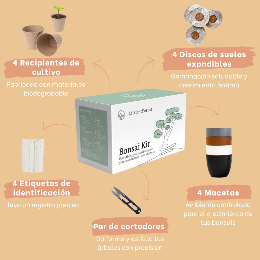 Bonsai growing kit