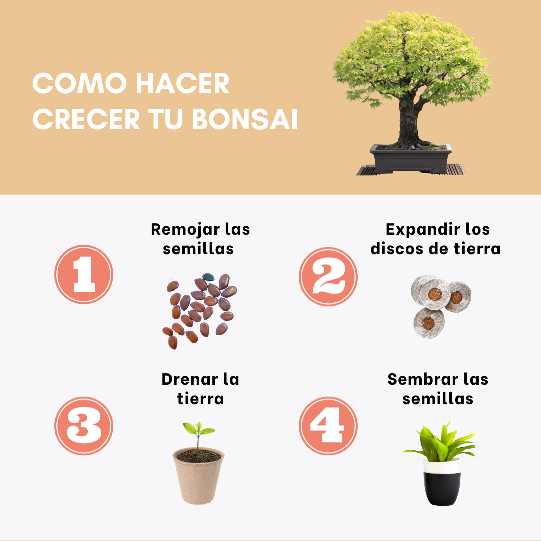 Bonsai growing kit
